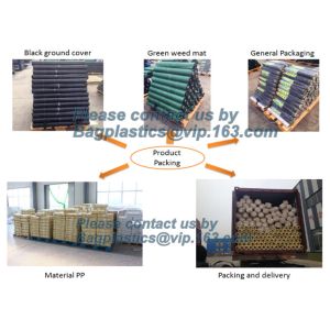 Water management weeb control pavement preservation courtyard beautify anti