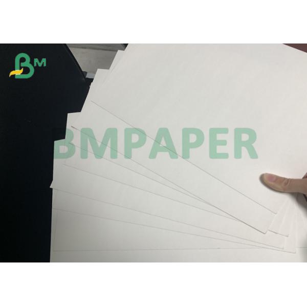  Absorbent Paper Sheets