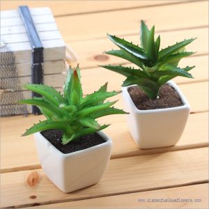 Artificial succulent plants