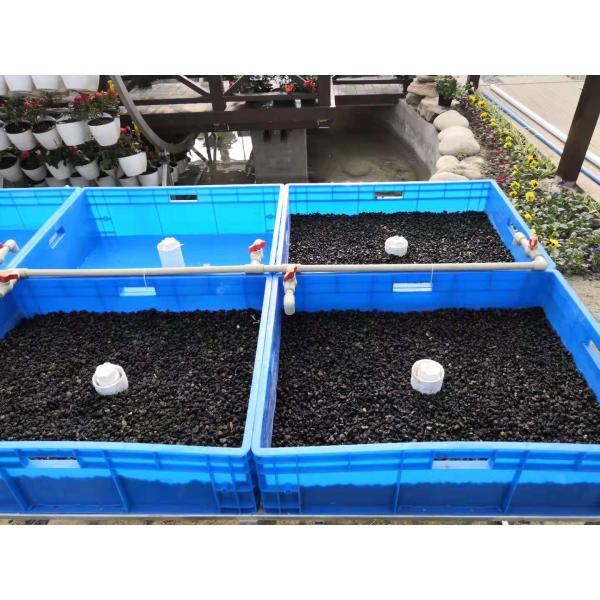 Aquaponics Greenhouse Hydroponics Growing System Fish Tank For Fish And Vegetable