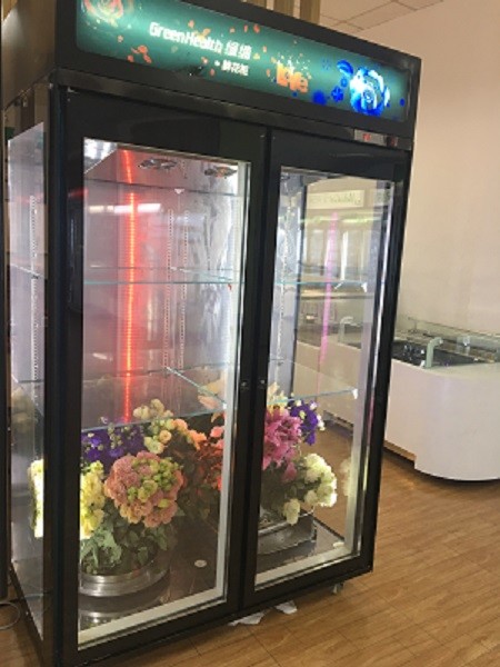 Anti - Mist Glass 1 Door Upright Commercial Display Freezer For Ice Cream