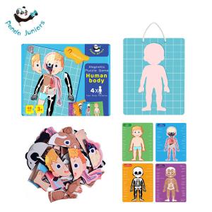 Magnetic Human Body Jigsaw Puzzle Preschool Creative Cognitive Skills Training