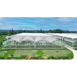 Aluminum Zinc Plating Plastic Film Greenhouse UV Protected Light Transmission