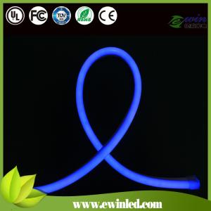 Blue Color LED Neon Flex