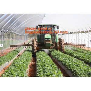 Agriculture silver black plastic mulch film 8 micron,Reflective and Protective
