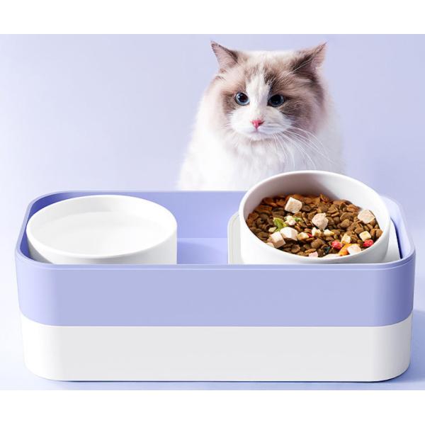 Buy Elevated Neck Guard Cat Food Dispenser With Leak Proof Fence at wholesale prices