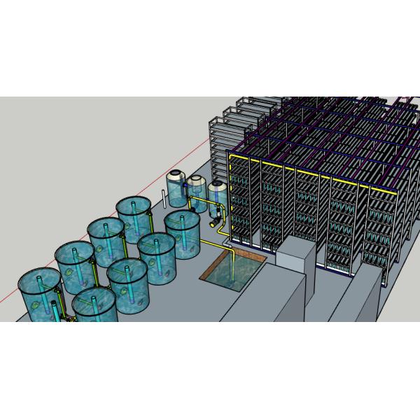 Aquaponics Greenhouse Hydroponics Growing System Fish Tank For Fish And Vegetable