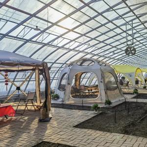 Plastic Sheet Flower Sunlight Greenhouse Drip Irrigation for Consistent