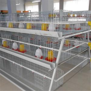 China 3 Tiers HDG Chick Brooder Cage With Manual Feeding System on sale