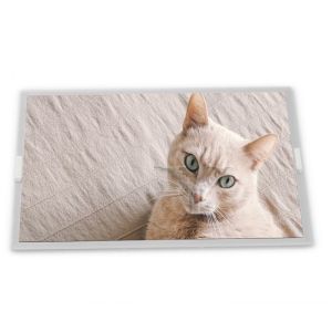 Quality LB043WV2-SD01 Module 4.3-Inch WLED WLED LCD Display 480*800 Resolution LCD Modules ODM Supplier for sale