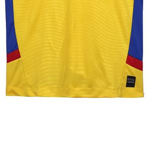 Romania 2025-2026 Home Fan Edition Football Jersey Group Customization