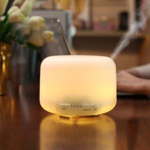 HOMEFISH Ultrasonic Aroma Humidifier Diffuser Humidistat DC 24V 0.5A
