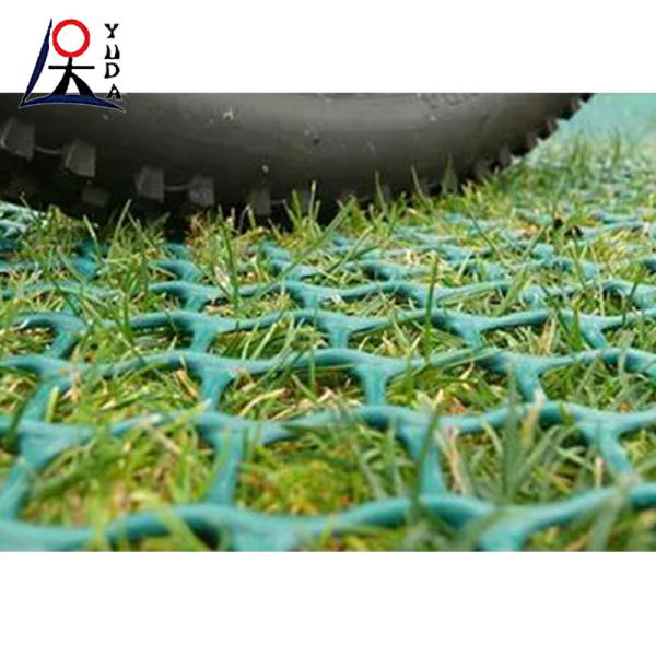 Extruded Plastic Mesh Netting Breeding Hexagonal Plastic Mesh