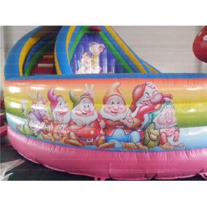 Fun Inflatable Slide (CYSL-21)
