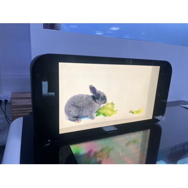 Buy Indoor 3D Transparent LCD Screen at wholesale prices