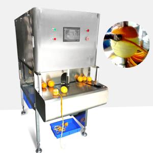 0.6kw Power Fruit And Vegetable Processing Machine High Peeling Speed