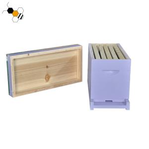 Quality Bee Hive Equipment Painted 20mm Raising Queens Langstroth Nuc Box for sale