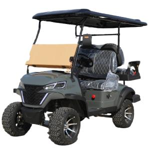 4 Wheel 4 Seater 72V 100AH Lead Acid Cell Electric Golf Cart Support OEM