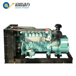 Factory directly sale CNG natural gas generator 30KW