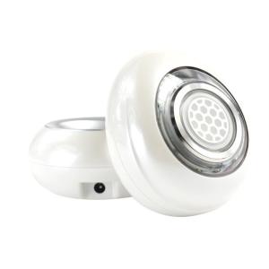 ABS Skin Tightening 500mA Rf Ems Led Beauty Device