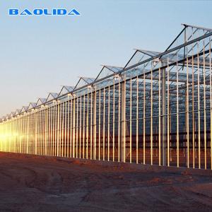 Multi Span Venlo Glass Greenhouse 140mm/H Capacity ISO9001 Certificated