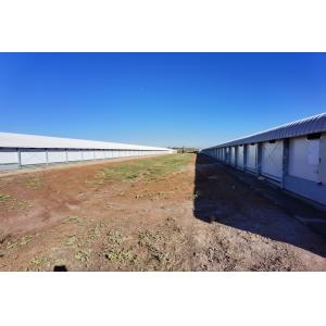 Hot Dip Galvanized Metal Steel Broiler Layer Poultry House With Automatic