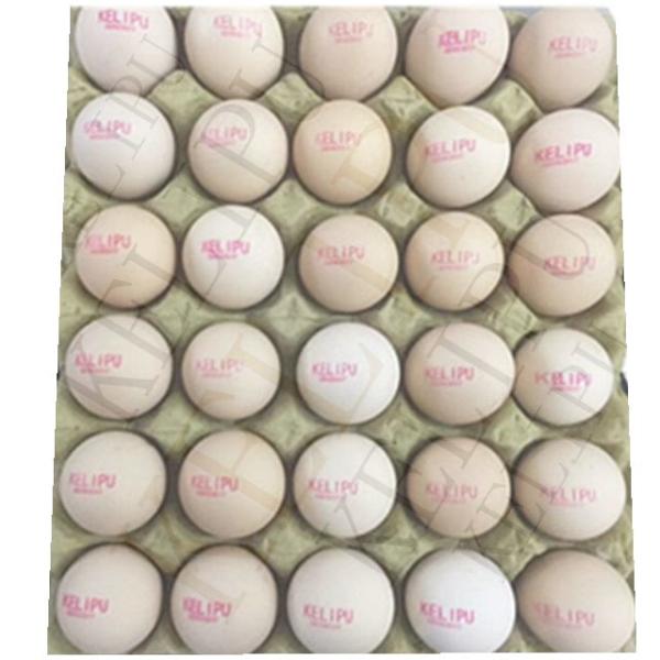 600DPI Egg Date Stamp Machine / Inkjet Marking Machine With High Performance