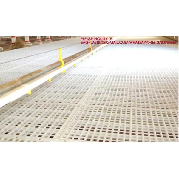 Chicken Poultry Flooring 1200*500mm Duck Goose Floor Covering white color rabbit slat floor