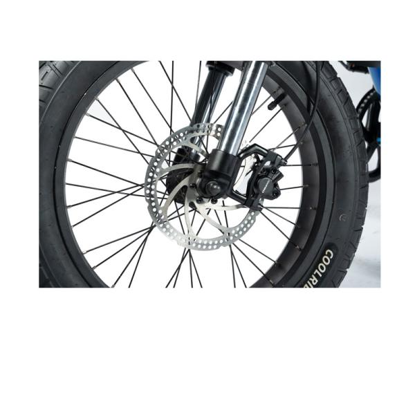 Customized Mountain Electric Bike with Torque 30-50 Nm and 48V Voltage Beach Bikes Cruisers