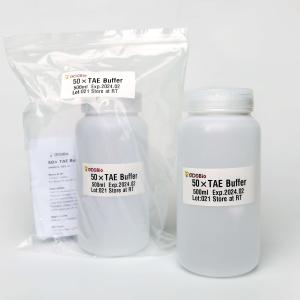 GDSBio 50× Tae In Gel Electrophoresis Transparent Color