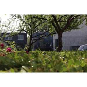 Custom Special-shaped Plastic Gas/Fuel Tank Manufactured by Professional