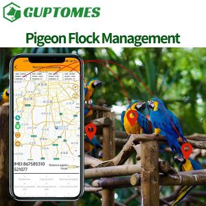 GPS LBS Dual Mode Bird Parrot GPS Tracker 2G With Flight Path And Historical