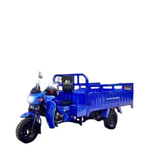 300cc Petrol Gasoline Motorized Cargo Tricycles 3wheels Motorcycle Customized 5