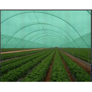 Quality Dark Green Fruit And Seedbed Sun Shade Net High Tensile Strength Shading Rate 70% for sale