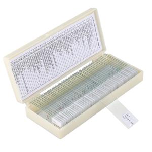 China Small 50pcs School Education 22x22mm Label Microbiology Prepared Slides on sale