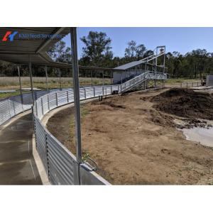 Easy Build Piggery Shed Construction Steel Structure Cow House Construction