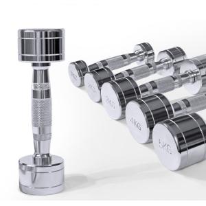 Befreeman Wholesale Hot Sale High Quality Gym Equipment Chrome Dumbbell