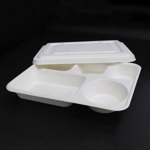 New item Compostable bagasse oblong 5 section compartment dinner Plate