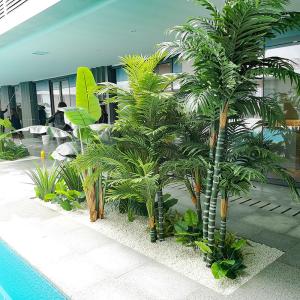 Green Potted Indoor Travelers Palm Corner Landscape Leisure Place Ornaments