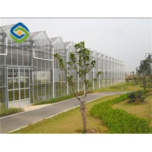 275g/m2 Side Ventilation Glass Hydroponic Greenhouse For Flowers