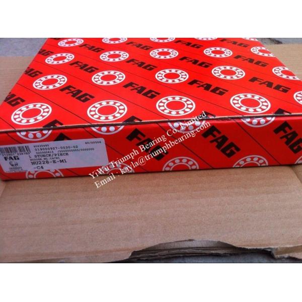 Buy FAG   Single Row Cylindrical Roller Bearing  NU228-E-M1-C4 at wholesale prices