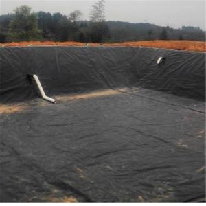 Pool Line HDPE LDPE Waterproof Geomembrane for Fish Farm Pond Liner in