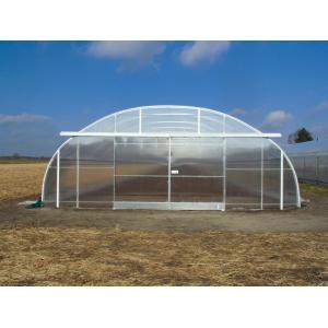 Galvanized Steel Tunnel Greenhouse with >90% Light Transmittance