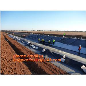 Environmental Protection hdpe smooth fish farm pond liner geomembrane,Drain