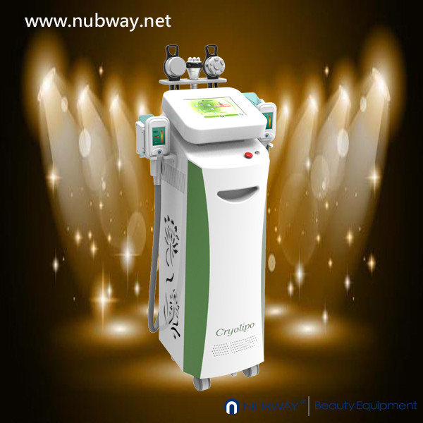 Buy Hottest sale!!! 5 handles multifunctional best cryolipolysis fat reducing equipment at wholesale prices