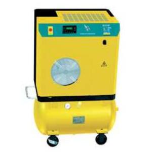 Professional Moveable Screw Air Compressor with Air Receiver