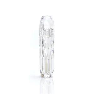 OEM Empty Lip Gloss Tube empty lip gloss containers with different color
