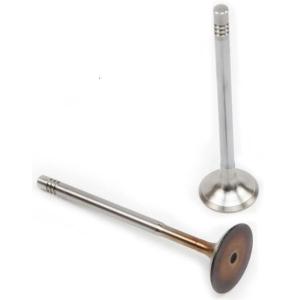 036109601AD Engine Parts Engine Valve