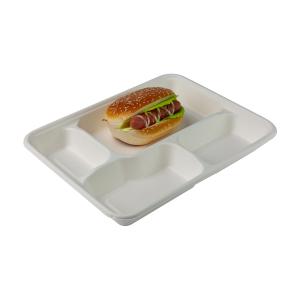 China Takeaway Biodegradable Clamshell Boxes , Divided Disposable Bento Box With Lid on sale