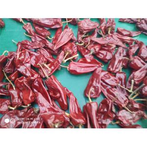 New Crop Yidu Dried Chili With Stem HACCP Certification